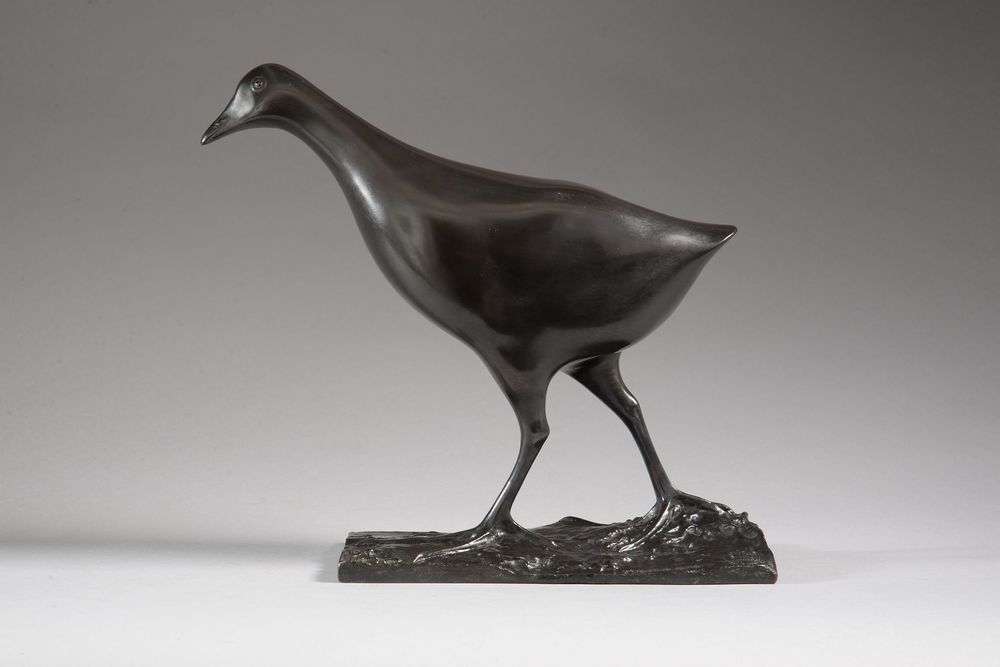 7 François Pompon, Poule d’eau