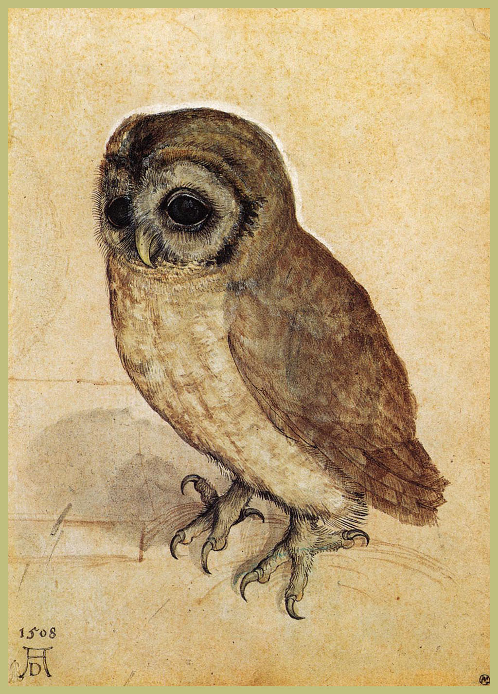 4 Albert Dürer (1471-1528), Chouette, 1508
