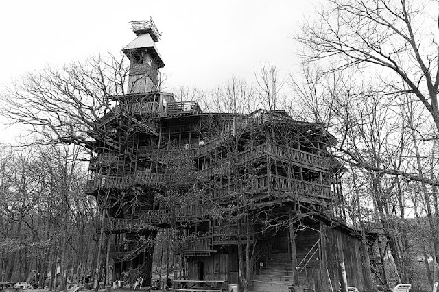 5 L’arbre-cathédrale construit par Horace Burgess, Tennessee (U.S.A.)