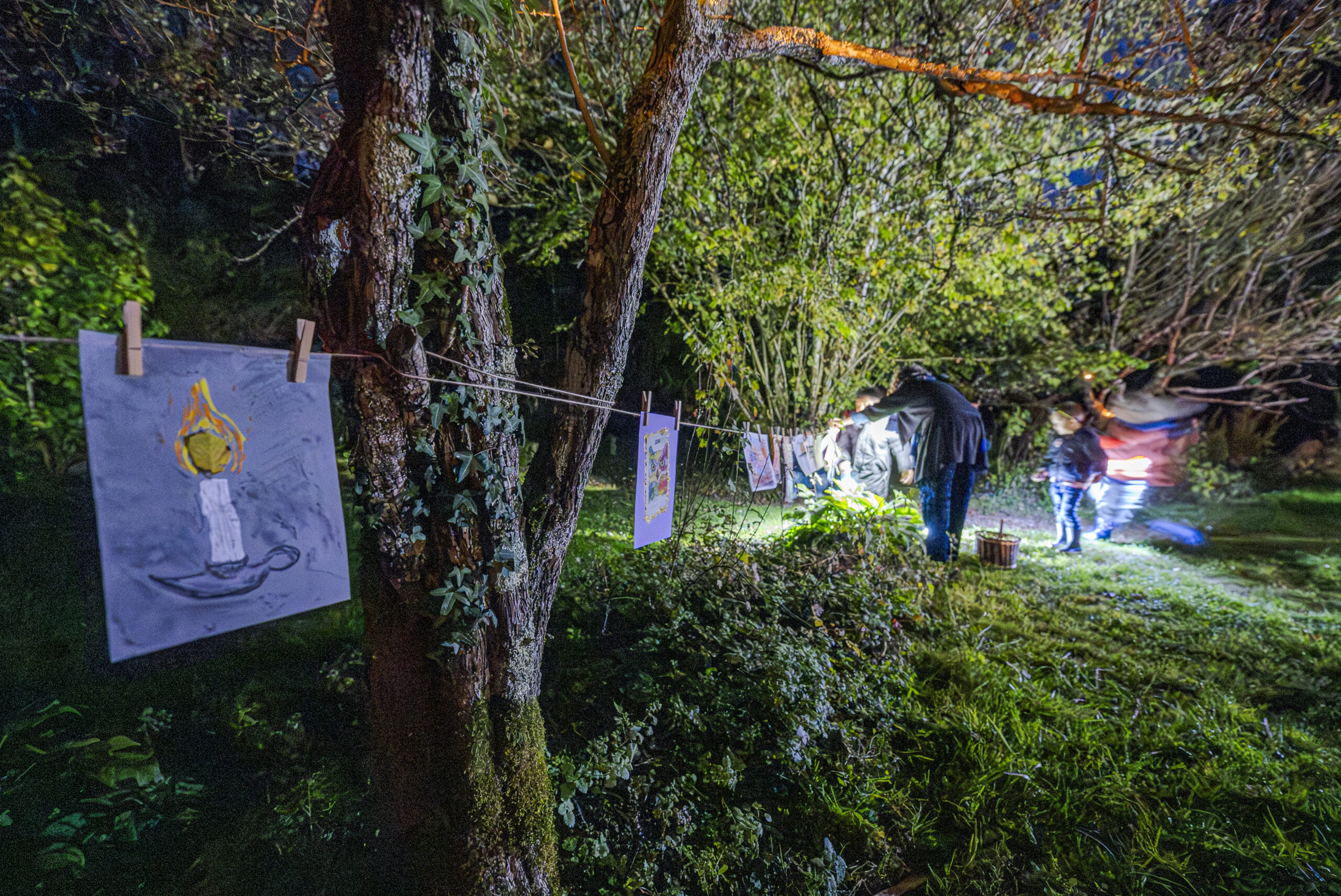 11 LA GRANDE LESSIVE CPIE GATINE POITEVINE-95 copie