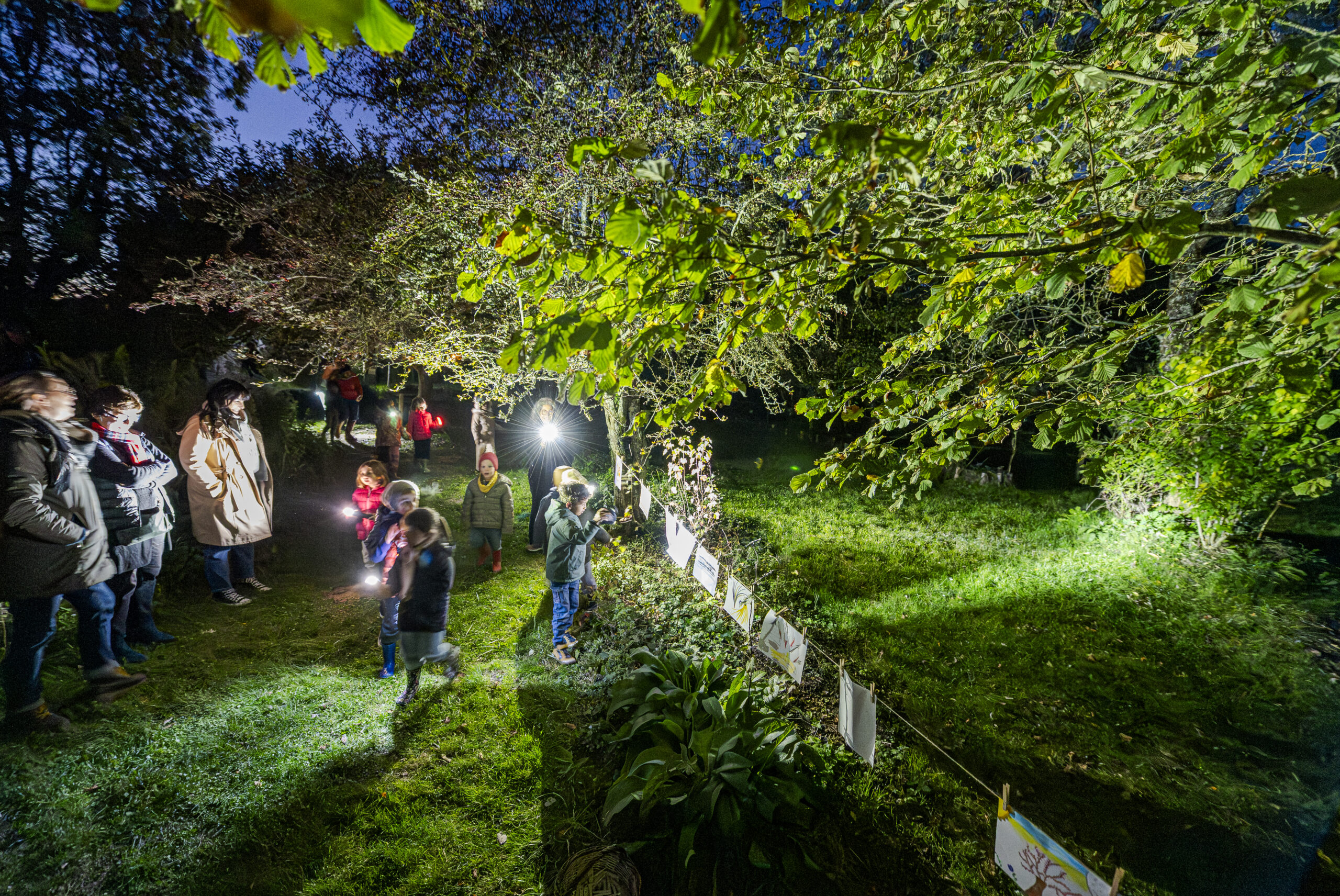 6 LA GRANDE LESSIVE CPIE GATINE POITEVINE-56 copie