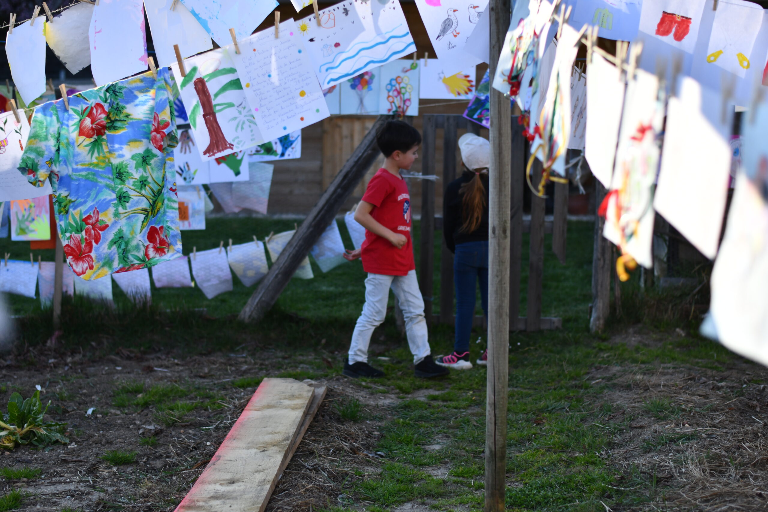 12 DSC_0226