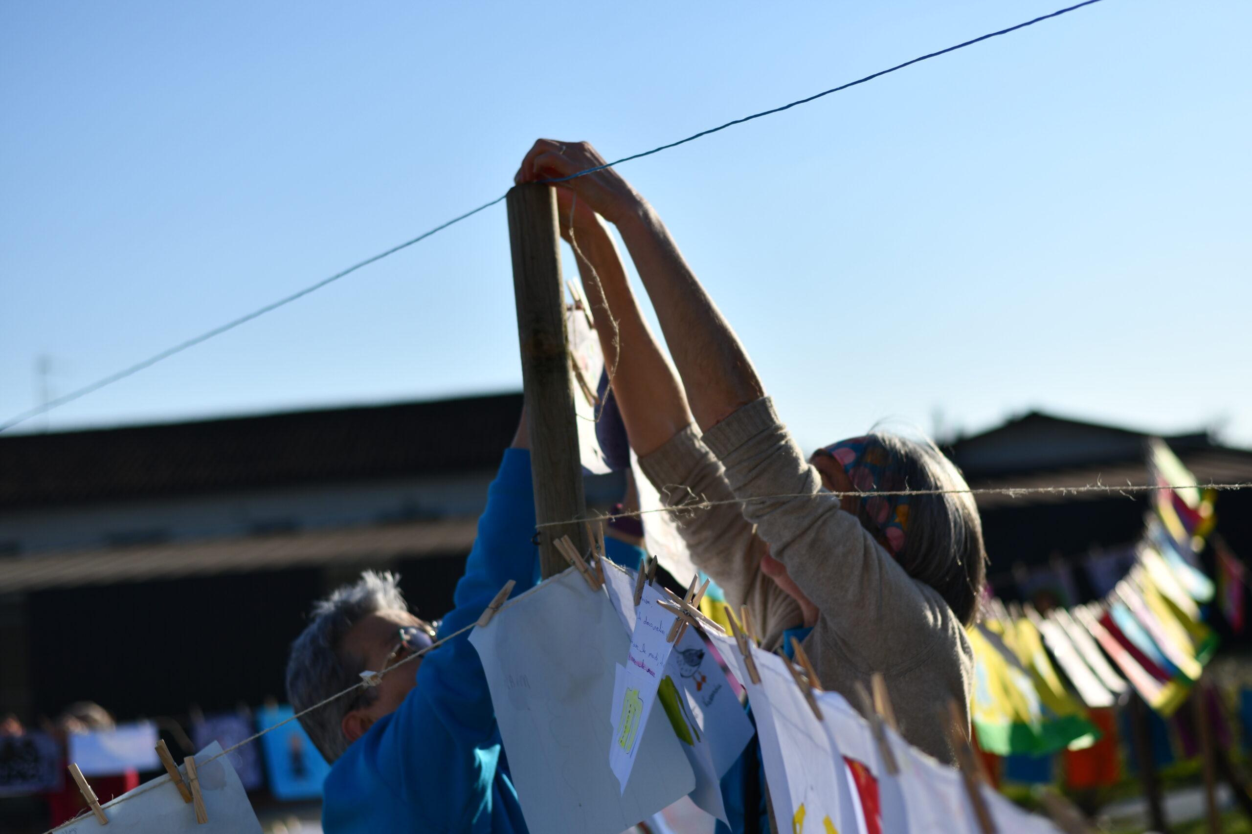 5 DSC_0206