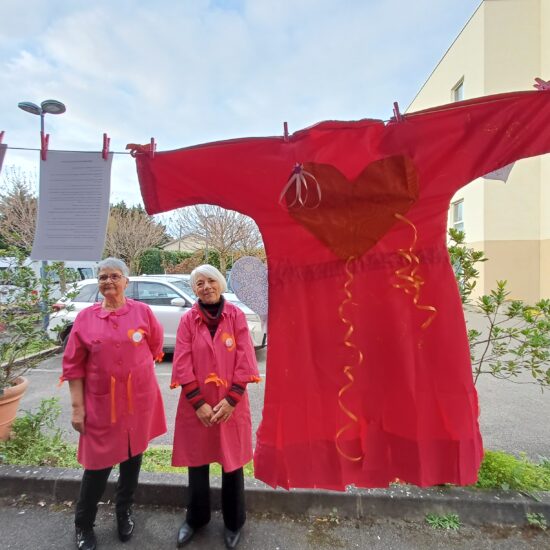 Les Blouses Roses,  Lyon, France